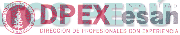 DPEX DIRECCIÓN DE PROFESIONALES CON EXPERIENCIA UNIVERSIDAD ESAN