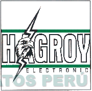 HAGROY ELECTRONIC