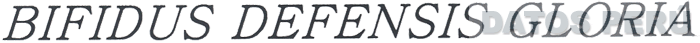 BIFIDUS DEFENSIS GLORIA