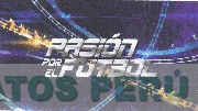 PASIÓN POR EL FUTBOL