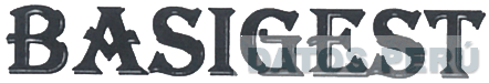 BASIGEST