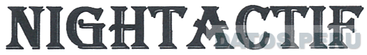 NIGHTACTIF