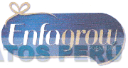 ENFAGROW PREMIUM