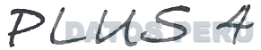 PLUS 4
