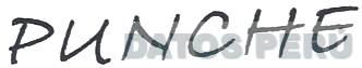 PUNCHE