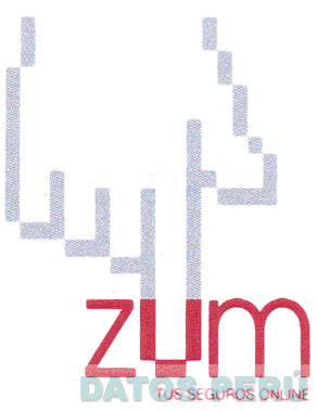 ZUM TUS SEGUROS ONLINE