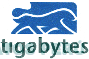 TIGABYTES