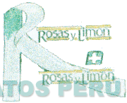 R ROSAS Y LIMÓN