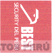 BEST SECURITY DEL PERÚ