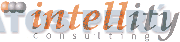 INTELLITY CONSULTING