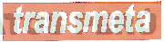 TRANSMETA