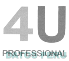4U PROFESSIONAL