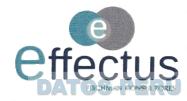 E EFFECTUS FISCHMAN CONSULTORES