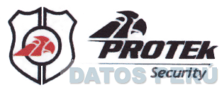 PROTEK SECURITY