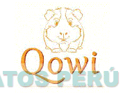 QOWI