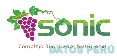 SONIC COMPLEJO BIACTIVADOR NUTRICIONAL