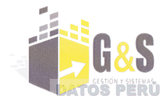 G&S GESTIÓN Y SISTEMAS