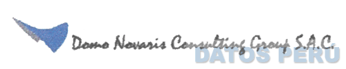 DOMO NOVARIS CONSULTING GROUP S.A.C.