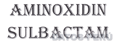 AMINOXIDIN SULBACTAM