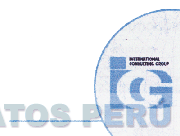 ICG INTERNATIONAL CONSULTING GROUP