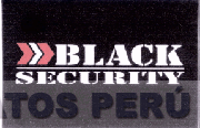 BLACK SECURITY