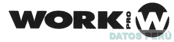 WORK PRO W