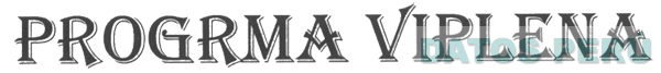 PROGRAMA VIPLENA