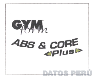 GYM FORM ABS & CORE PLUS