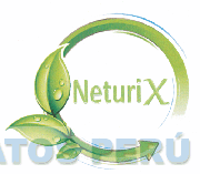 NETURIX