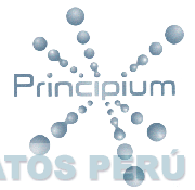 PRINCIPIUM