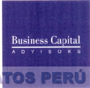 BUSINESS CAPITAL ADVISORS