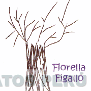 FIORELLA FIGALLO