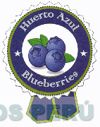 HUERTO AZUL BLUEBERRIES