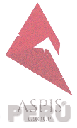 ASPIS GROUP