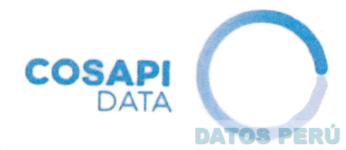 COSAPI DATA