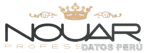 NOUAR PROFESSIONAL