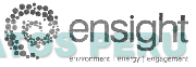 ENSIGHT ENVIRONMENT | ENERGY | ENGAGEMENT