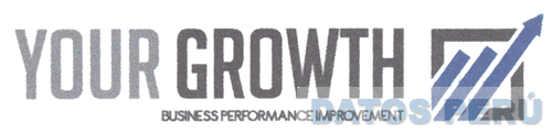 YOUR GROWTH BUSINESS PERFORMANCE IMPROVEMENT