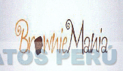 BROWNIE MANIA