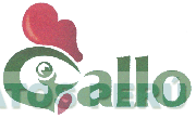 GALLO