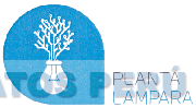 PLANTA LÁMPARA