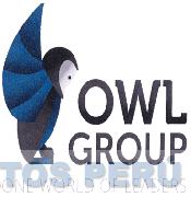 OWL GROUP ONE WORLD OF LEADERS