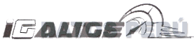 IGAUGE
