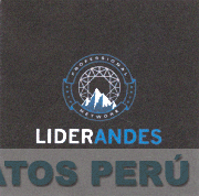 PROFESSIONAL NETWORK LIDERANDES