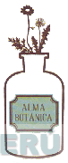 ALMA BOTÁNICA