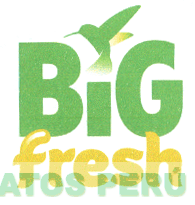 BIG FRESH