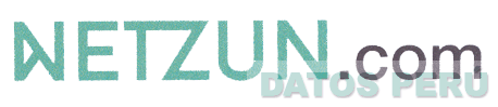 NETZUN.COM