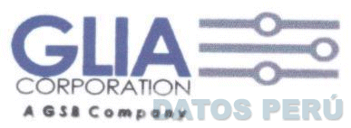 GLIA CORPORATION A GSB & COMPANY