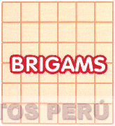 BRIGAMS