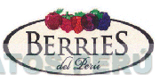 BERRIES DEL PERÚ